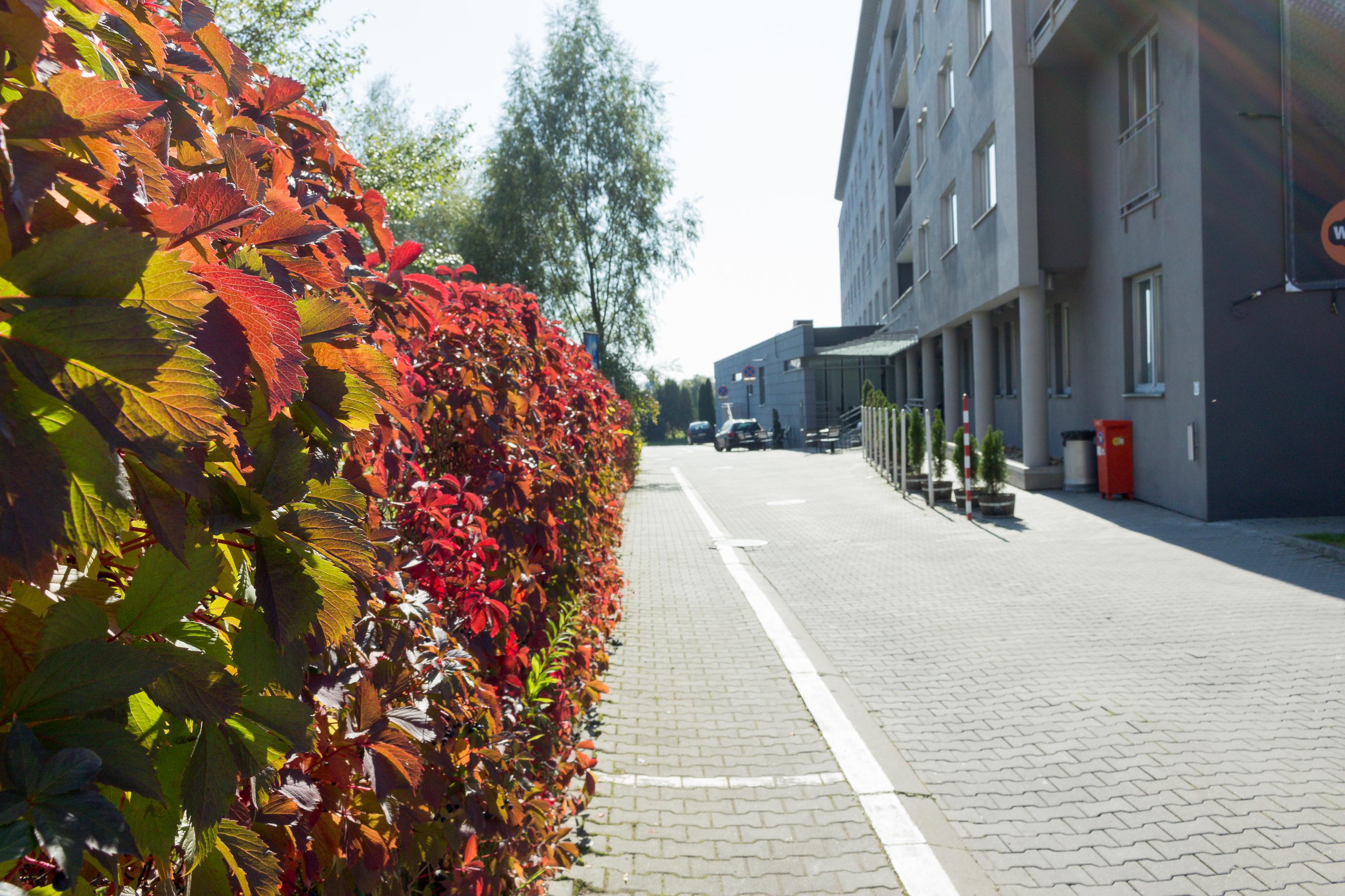 Wm Hotel System Sp. Z O.O. Kraków Eksteriør billede